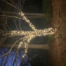 Professional Christmas Lights Installation in Mooresville, NC 4